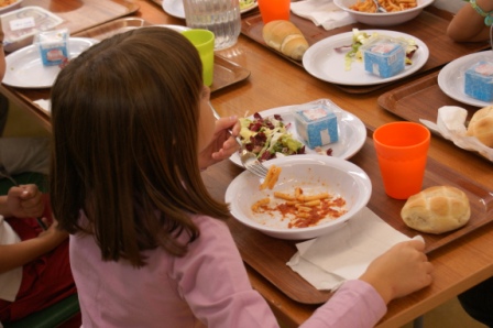 Attivazione mensa scolastica 2016-2017