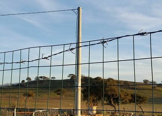 Al via gli allacci delle imprese alla rete Enel