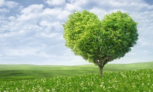 Avviso pubblica selezione - Progetto “AG.A.P.E. - Agrifood Ambiente Percorsi ecosostenibili